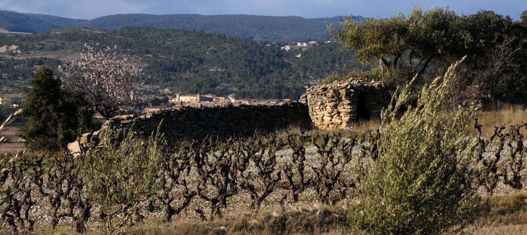 Maison Vigneronne De Bonne Maman - Climatisee Cesseras Exterior photo