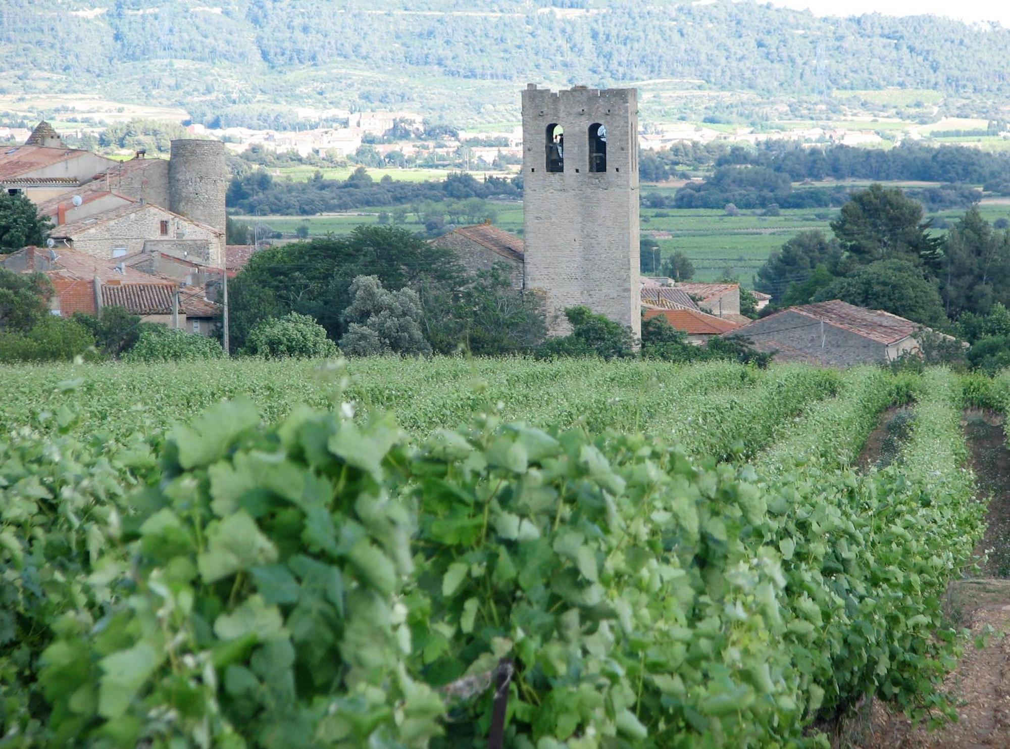 Maison Vigneronne De Bonne Maman - Climatisee Cesseras Exterior photo